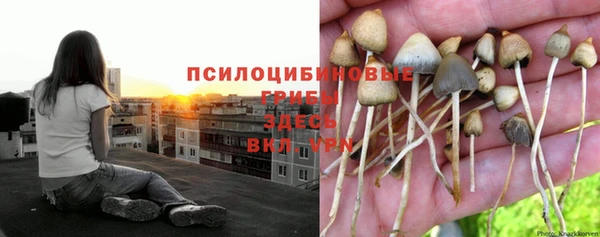 не бодяженный Белокуриха