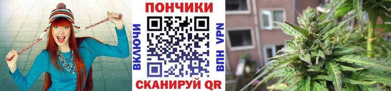 Шишки марихуана гибрид  Липецк 
